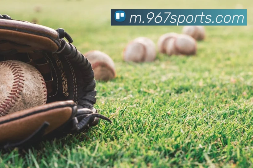 球赛投注平台生态图